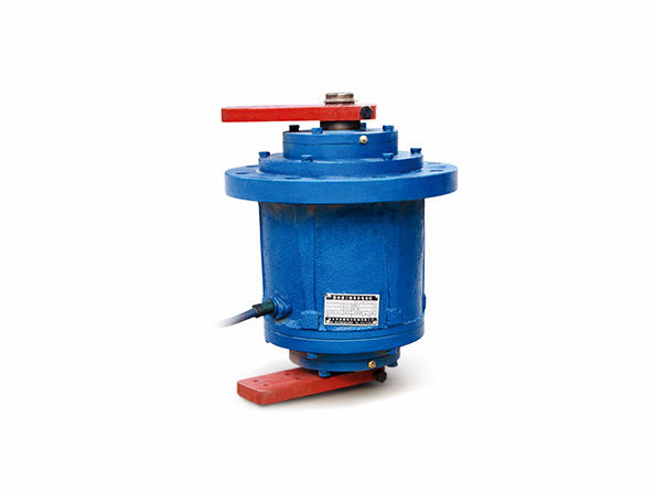 YZSL立式振動電機(jī)